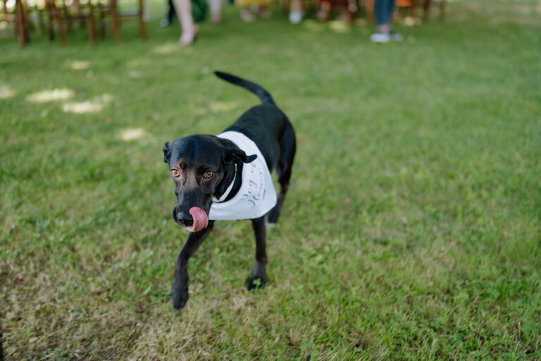 Wedding Photographer in Umbria Italy