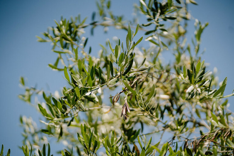 Wedding Photographer in Umbria Italy