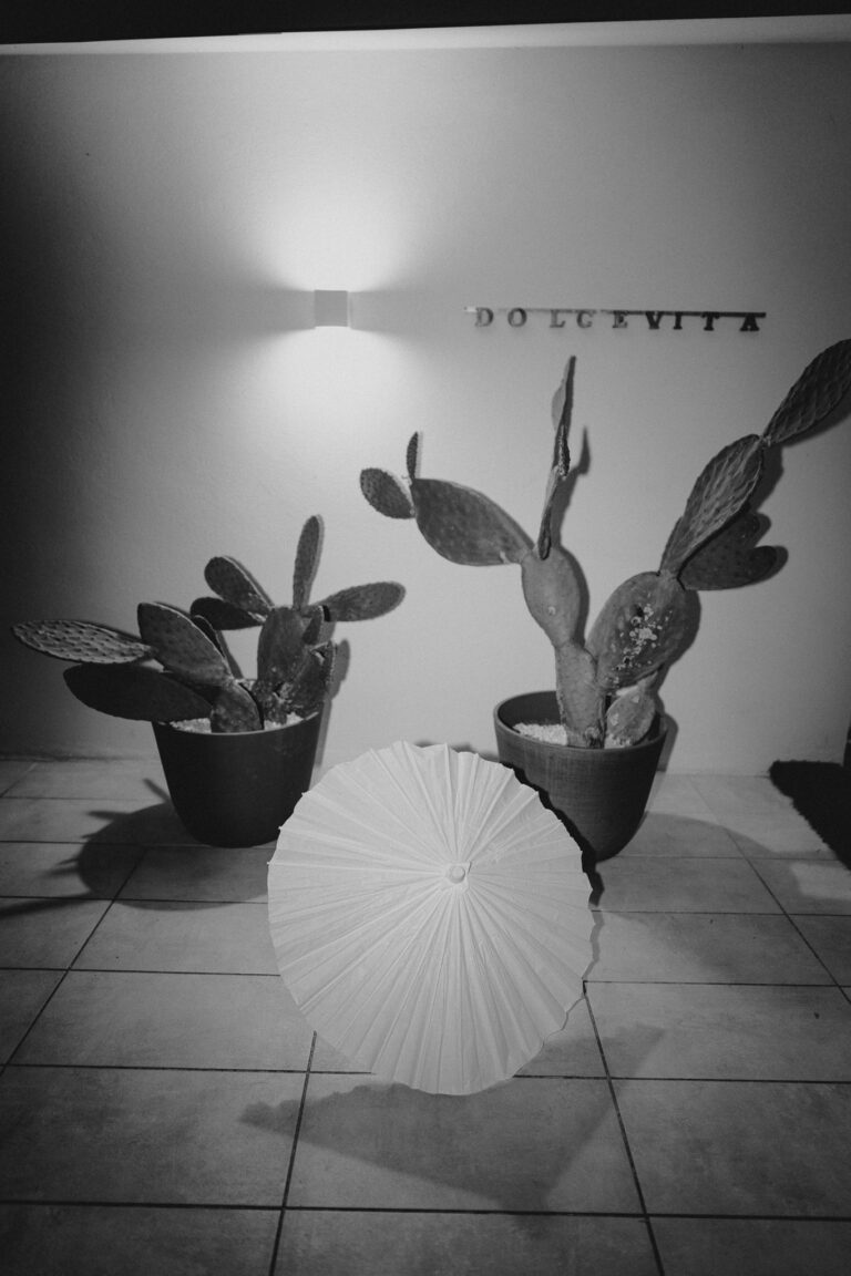 Black and white night detail, romantic wedding atmosphere