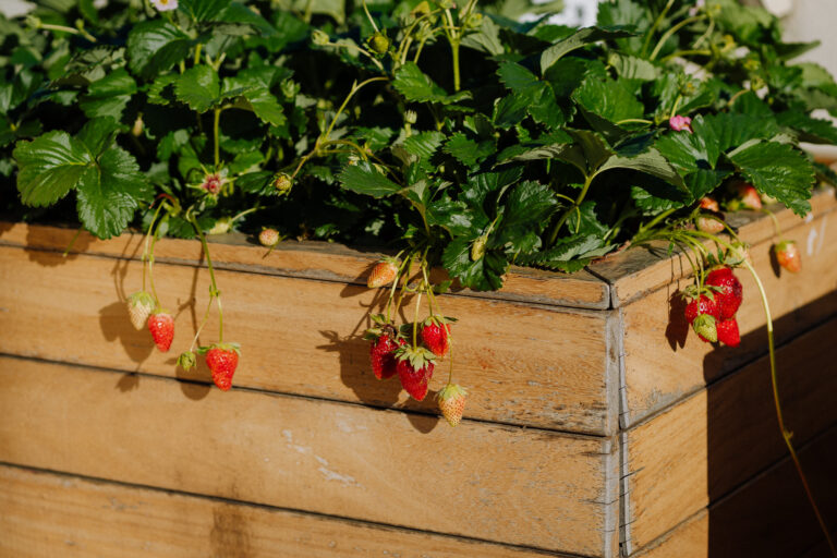 Terrace details with potted plants at Six Senses Rome, soft evening atmosphere